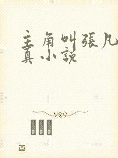 主角叫张凡的修真小说