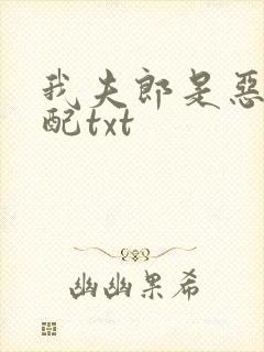 我夫郎是恶毒男配txt