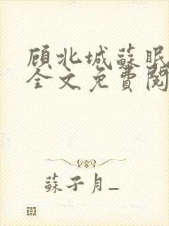 顾北城苏眠小说全文免费阅读