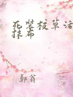 死装校草活该被抹布