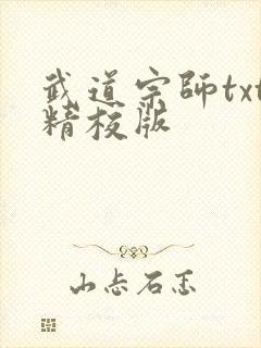 武道宗师txt精校版