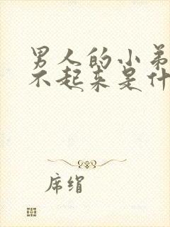 男人的小弟弟硬不起来是什么原因