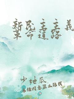 新民主主义革命革命道路