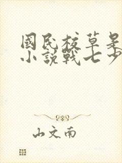 国民校草是女生小说战七少