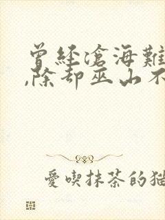 曾经沧海难为水,除却巫山不是云意思