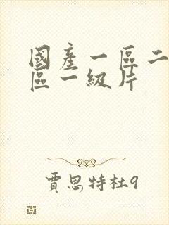 国产一区二区三区一级片