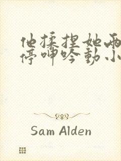 他揉捏她两乳不停呻吟动小说