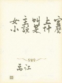 女主叫上官凝的小说是什么