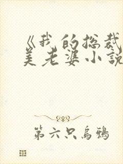 《我的总裁白富美老婆小说》