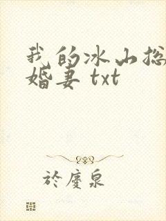 我的冰山总裁未婚妻 txt