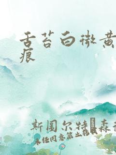 舌苔白微黄有齿痕