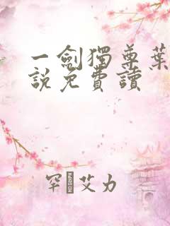 一剑独尊叶玄小说免费读