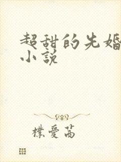 超甜的先婚后爱小说