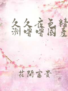 久久夜色精品亚洲噜噜国产av