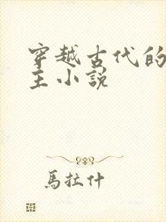 穿越古代的双男主小说