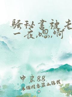 骚秘书被老板操一夜,嗯,啊