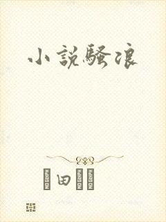 小说骚浪