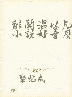 难哄温以凡桑延小说好看么