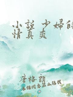 小说 少妇的激情真爽