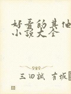 好看的其他类型小说大全