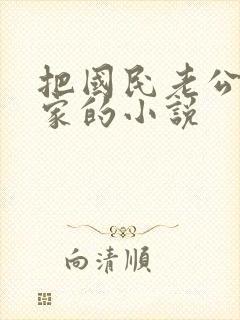 把国民老公带回家的小说