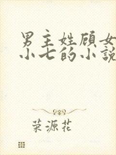 男主姓顾女主叫小七的小说