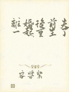 离婚后前夫和我一起重生了