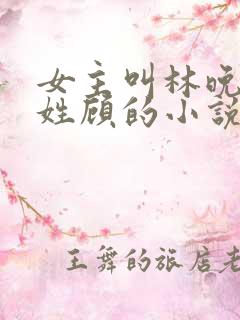 女主叫林晚男主姓顾的小说