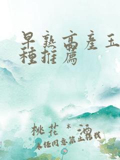 早熟高产玉米品种推荐