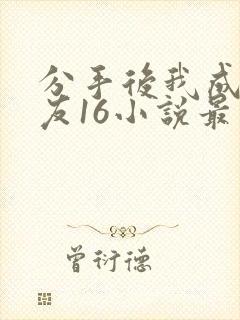 分手后我成了女友16小说最新章节更新