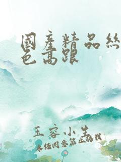 国产精品丝袜黑色高跟