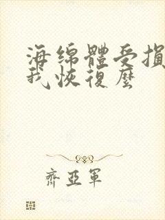 海绵体受损能自我恢复么