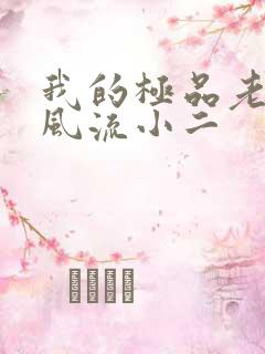 我的极品老婆们风流小二