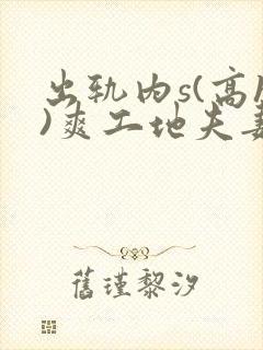 出轨内s(高h)爽工地夫妻