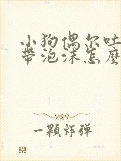 小狗偶尔吐黄水带泡沫怎么回事