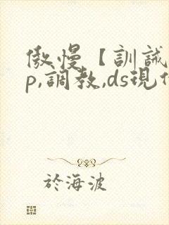 傲慢【训诫,sp,调教,ds现代家奴