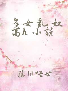多女 乱 奴 高h 小说