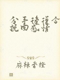 分手后复合怎么挽回感情