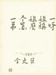 一个姐姐一个弟弟怎么称呼