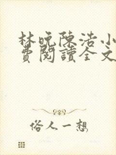 林晚陈浩小说免费阅读全文最新章节