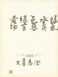 黄绿色水样分泌物有恶臭气味