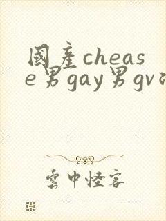 国产chease男gay男gv浪小辉