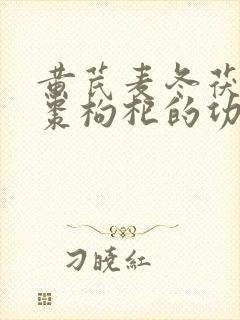 黄芪麦冬茯苓红枣枸杞的功效