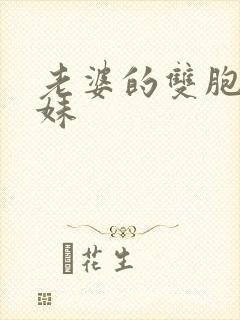 老婆的双胞胎表妹