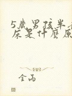 5岁男孩半夜尿床是什么原因