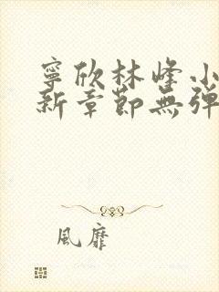 宁欣林峰小说最新章节无弹窗阅读