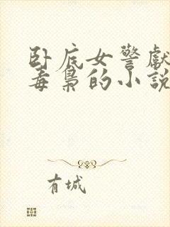 卧底女警献身大毒枭的小说