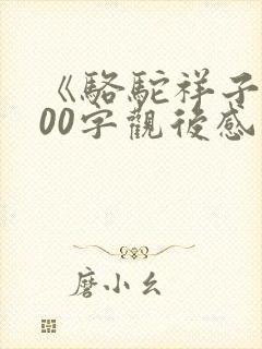 《骆驼祥子》800字观后感