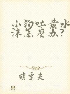 小狗吐黄水吐泡沫怎么办?