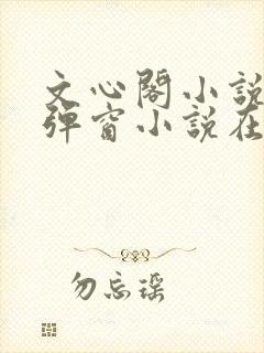 文心阁小说_无弹窗小说在线免费阅读